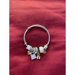 AYICIK CHARMLI ÇELİK PANDORA