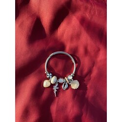 ÇELİK İSTİRİDYE PANDORA