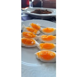 Organik Yumurta 