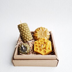 Vitality Box