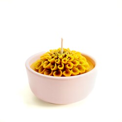 Vedi-Garden Kasımpatı (Hibiskuslu)