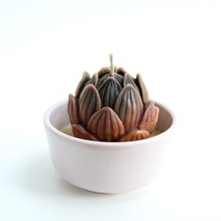 Vedi-Garden Lotus Bud (Hibiskuslu)