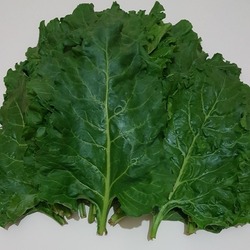 Şeker pancarı yaprağı 4kg