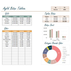Excel'de Aylık Bütçe Raporu | Gelir Gider Tablosu