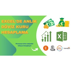 Excel'de Anlık Döviz Kuru Hesaplama Çalışma Dosyası
