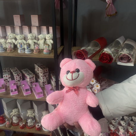 27 cm Pembe Peluş Ayıcık Sevimli Teddy Romantik Hediye