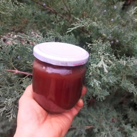 Andız Şurubu - 0.425 ml cam kavanozda