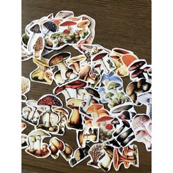 Şeffaf mantar sticker set