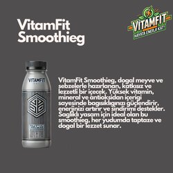 VitamFit Smoothieg