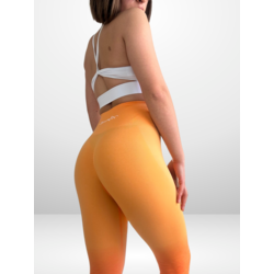 Alphalete Ombre Seamless Day Tripper Büzgülü