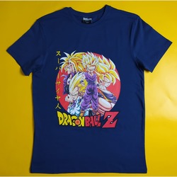 Bershka DragonBallz