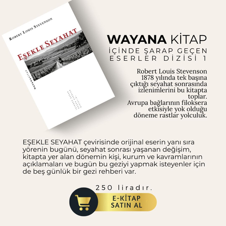 Eşekle Seyahat – E-Kitap 