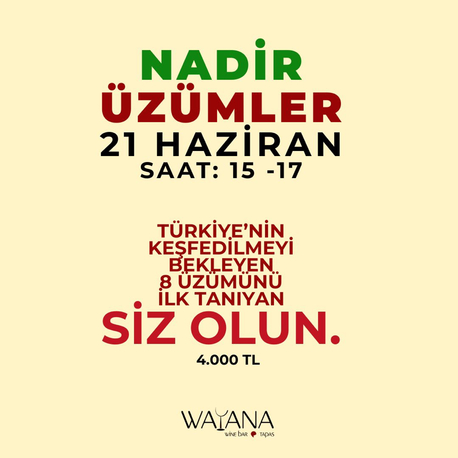 Wayana Nadir Üzümler Bilet