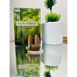 Darshan Darshan International Rain Forest Geri Akış (back Flow) Tütsü 10 Adet
