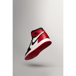 Nike Air Jordan 1 Retro High Bred Toe