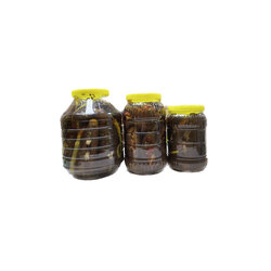  DOLMA PATLICAN TURŞUSU 