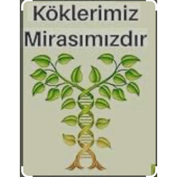 Kartlarla Alan kolaylaştırma