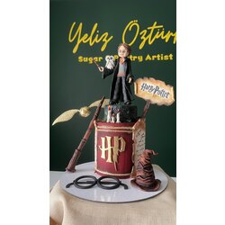 Harry Potter Figür ve Maket Pasta Eğitimi