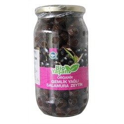BİO YAŞAM ORGANİK GEMLİK ZEYTİN 700 GR