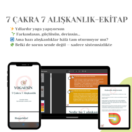 7 Çakra 7 Alışkanlık : Sağlıklı ve Dengeli Bir Yaşam İçin Yol Haritası