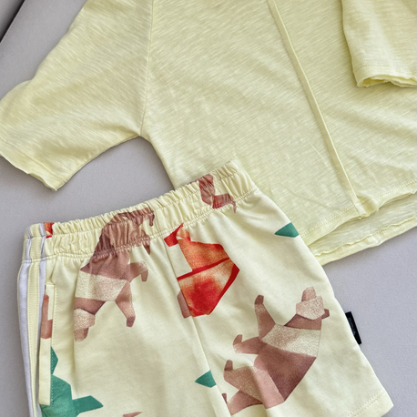 İkili Pamuk Takım