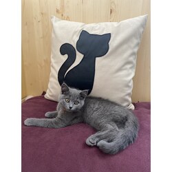 Deri kedi figürlü yastık kılıfı
