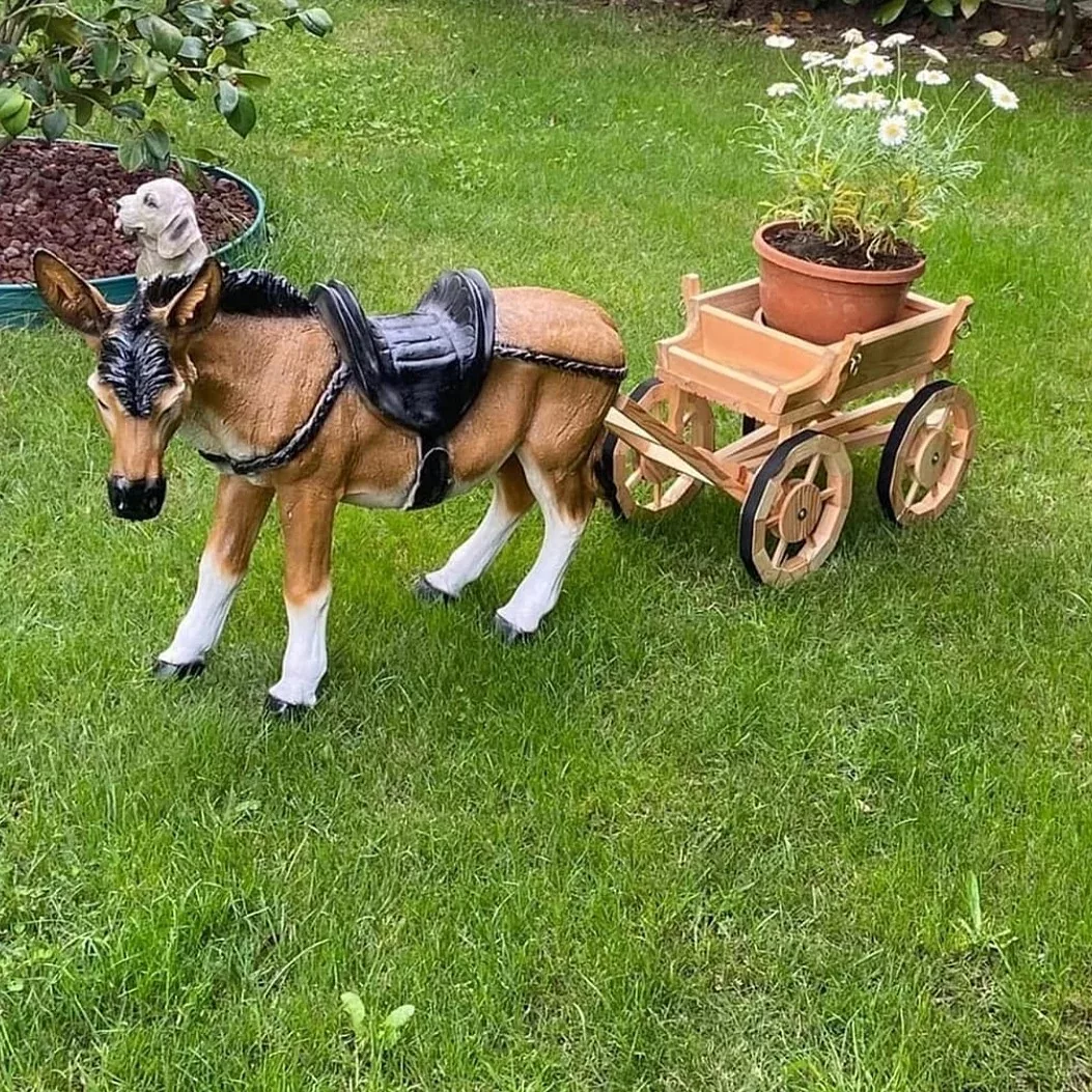 Merzifon eşeği ve mini araba