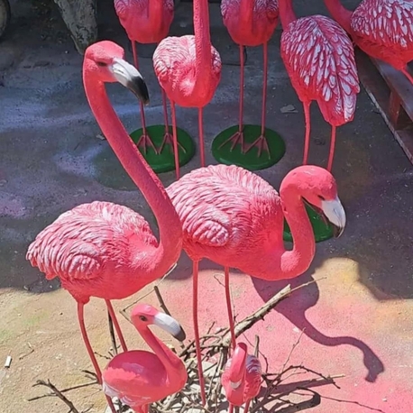 Yeni model bazalı üçlü Flamingo