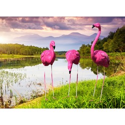 3,lü flamingo set