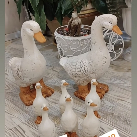 8,li ördek Ailesi