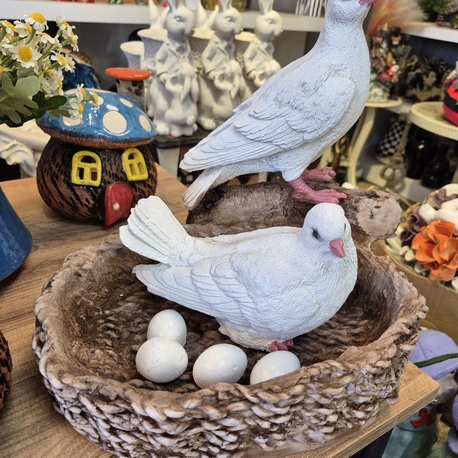 Yuvalı yumurtalı güvercin
