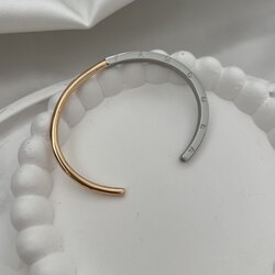 PANDORA Çift Renk Çelik Kelepçe