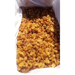 ÇEKİRDEKSİZ KURU ÜZÜM 1KG