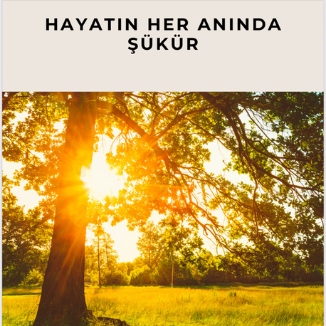 Hayatın Her Anında Şükür
