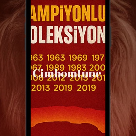 Galatasaray Temalı Dijital Tasarımlar (Sadece 9.90 TL)