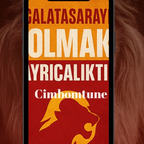 Galatasaray Temalı Dijital Tasarımlar (Sadece 9.90 TL)