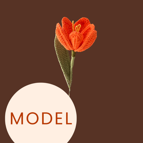 PDF Model - Örgü Lale Modeli