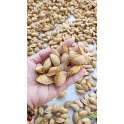 EL BADEMİ (ÇITIR BADEM) 