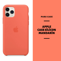APPLE SİLİCON MANDARİN