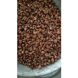 tane sumak 500 gr