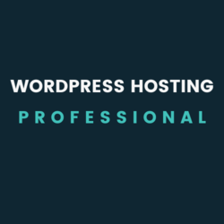 WordPress Hosting | Proffesional