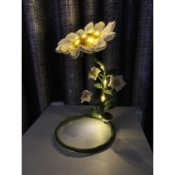 Peri Led Masa Lambası