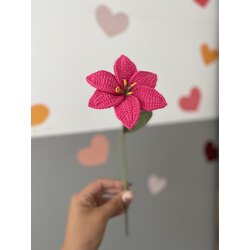 Minik Lily