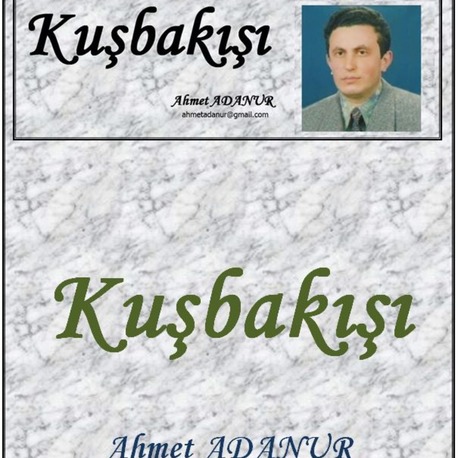 KUŞBAKIŞI (Makaleler)