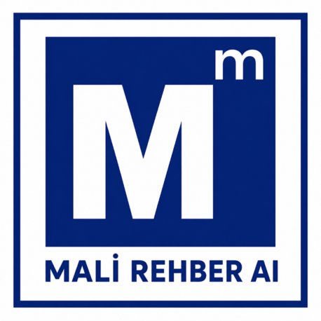 SMMM Mali Rehber AI - Dönemlik 2026 Lisans