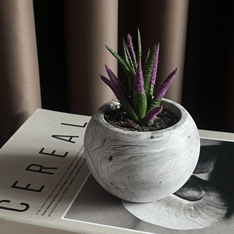 Marble Pure Beton Saksı 