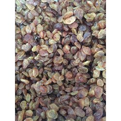 Sarı Çekirdeksiz Üzüm 1 KG