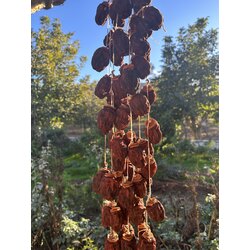 Cennet Hurması 1 KG