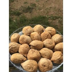 2 KG JUMBO BOY KAMPANYA İNCİR 