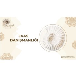 Jaas Bireysel Danışmanlık 